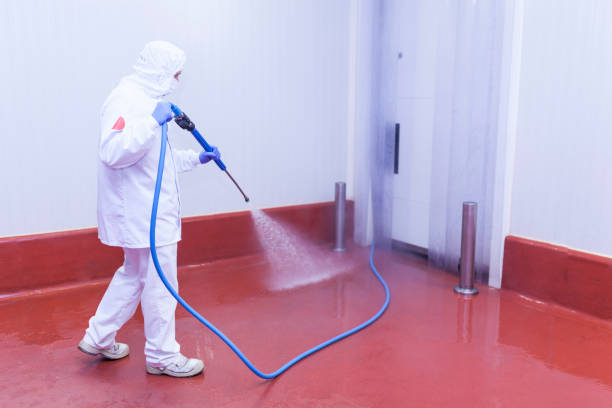 Smithton, IL  Pressure Washing Services Company